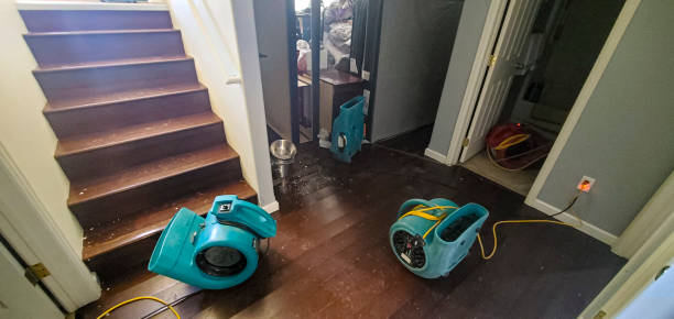 Best Water damage contractors near me  in Smith Mills, MA