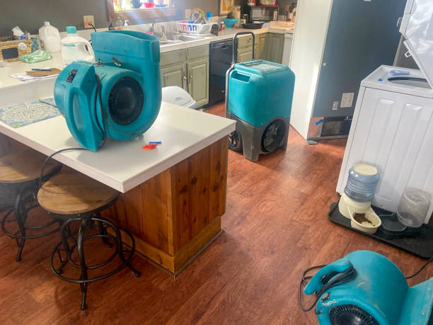 Best Flood damage cleanup  in Smith Mills, MA