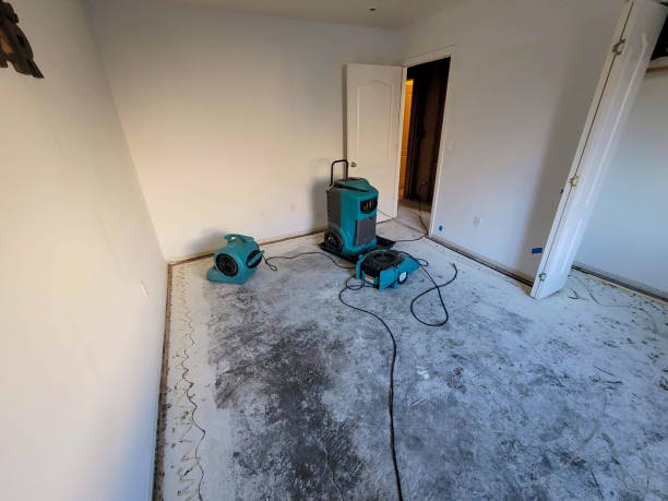 Best Basement water damage restoration  in Smith Mills, MA
