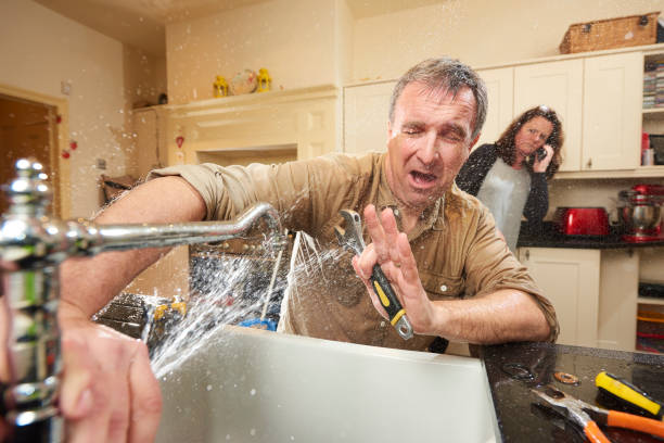 Best Flooded house restoration  in Smith Mills, MA